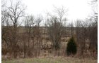 Property photo 19 - ABSOLUTE AUCTION - 298 Acres Offered in 4 Tracts